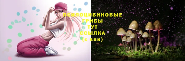 2c-b Бронницы