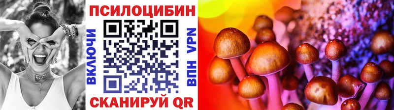 закладка Нелидово Галлюциногенные грибы мухоморы